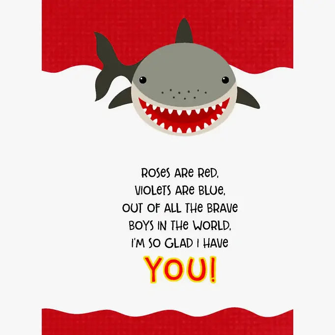 Lunch Box Notes for Brave Boys