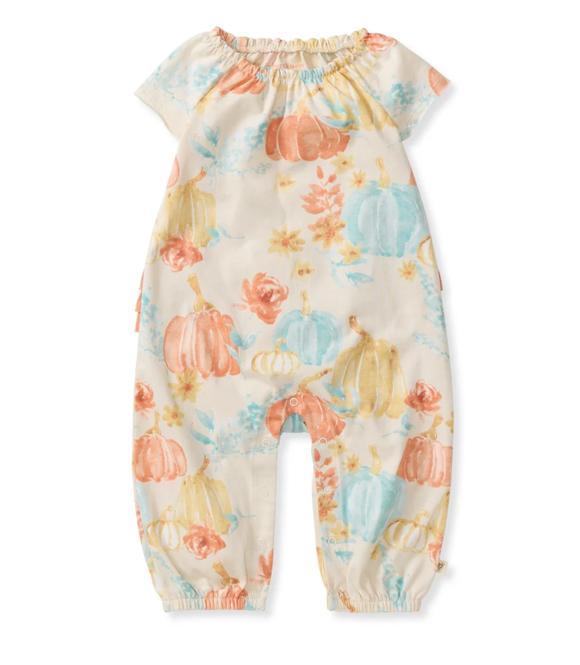 Burt's Bees Baby: Autumn Beauty Jumpsuit